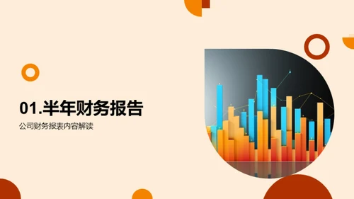 财务半年度分析