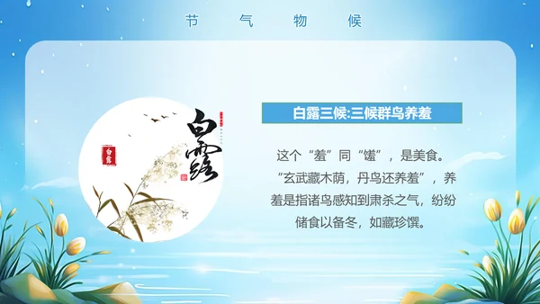 美丽的梦幻传统节气白露PPT模板