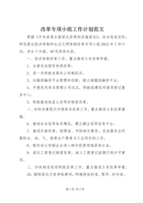 改革专项小组工作计划范文.docx