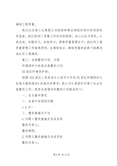整改计划和措施.docx