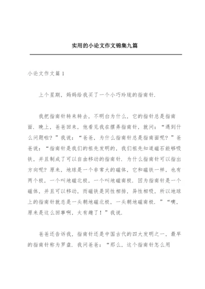 实用的小论文作文锦集九篇.docx