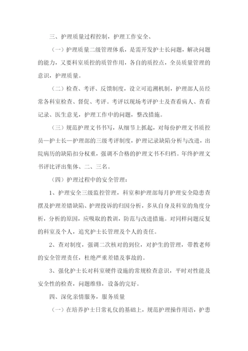 护士工作计划.docx