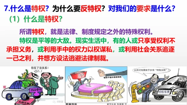 第七课  尊重自由平等  复习课件（24张PPT ）