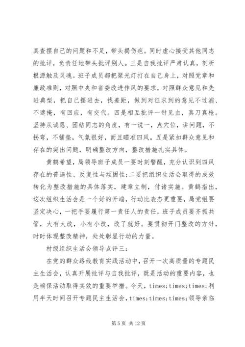 村级组织生活会领导点评3篇.docx