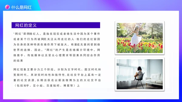 大数据时代下网红现象调查PPT模板