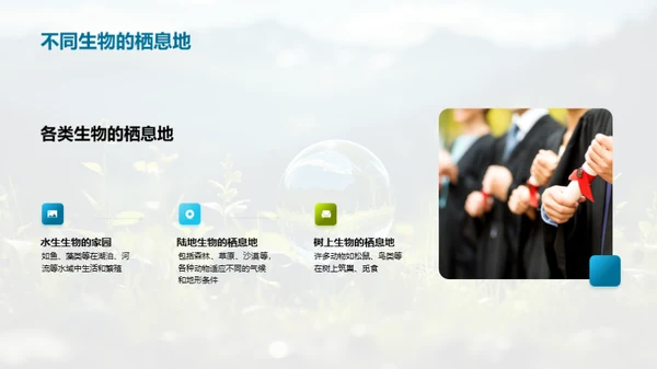 探秘生态环境