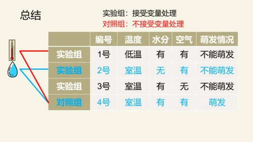 3.2.1 种子的萌发-2023-2024学年七年级生物上册优质课件（人教版）(共28张PPT)