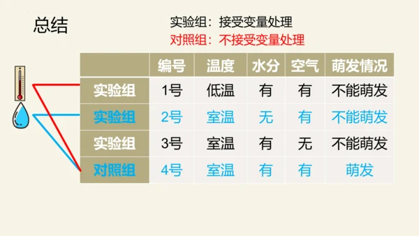 3.2.1 种子的萌发-2023-2024学年七年级生物上册优质课件（人教版）(共28张PPT)