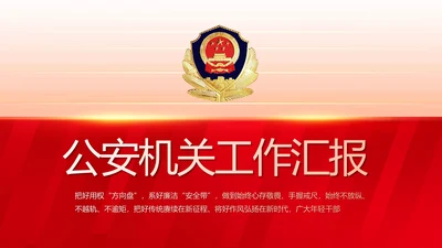 大气公安年终工作总结新年计划PPT