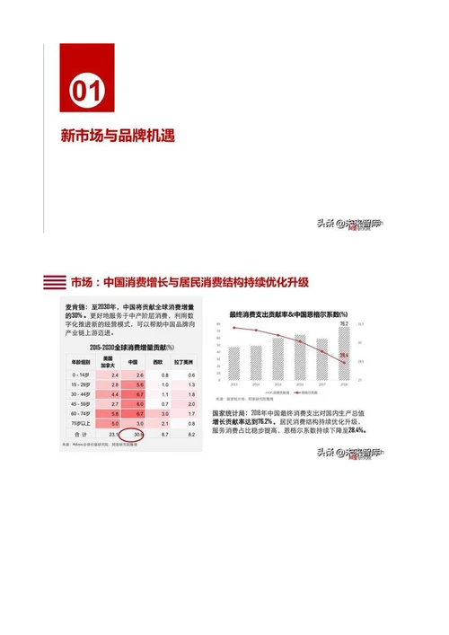 中国消费品牌发展报告新国货发展五大方向