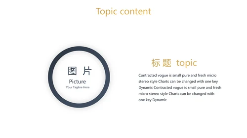 简约高档尊贵银行工作总结动态PPT模板