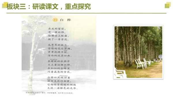 部编版2022-2023学年四年级语文下册大单元教学  第三单元    课件