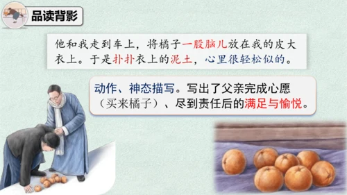 14 背影 课件
