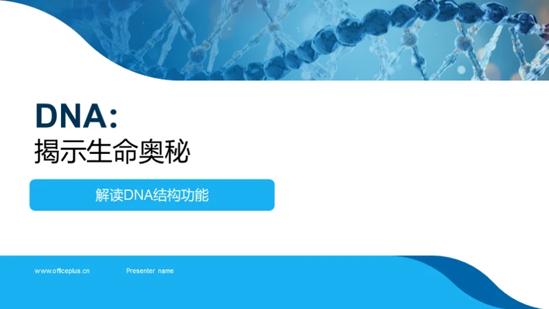 DNA：揭示生命奥秘