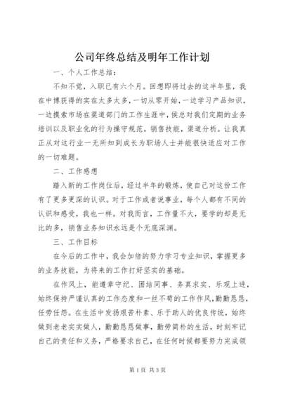 公司年终总结及明年工作计划.docx