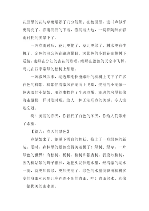 春天的景色作文250字.docx