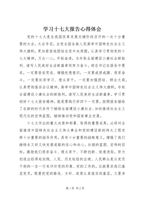 学习十七大报告心得体会 (13).docx