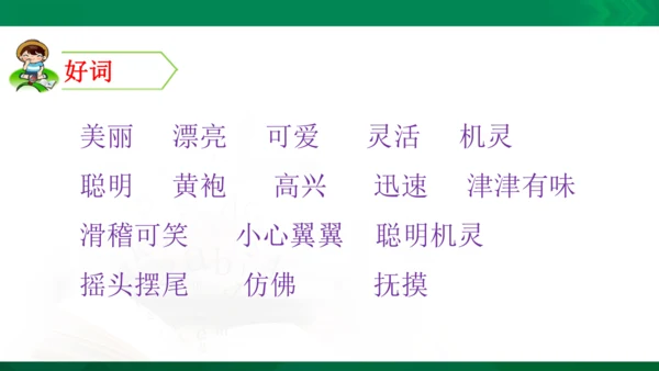 部编版二年级语文看图写话写动物课件