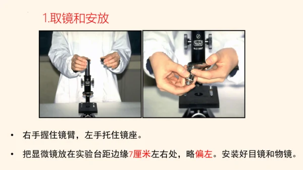 2.1.1练习使用显微镜课件2023--2024学年人教版生物七年级上册(共32张PPT)