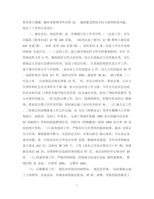 精编之政府的办公室工作总结范文.docx