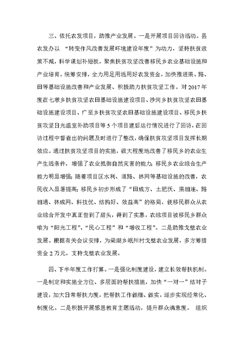 2018某县农发办上半年度脱贫攻坚工作总结一篇
