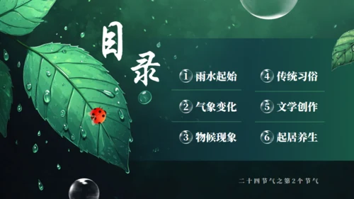 雨水节气通用PPT模板