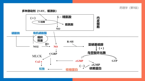 医院心内科药理学抗心绞痛PPT模板