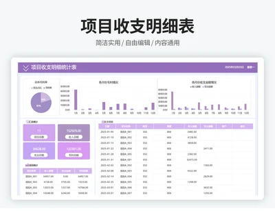项目收支流水明细表
