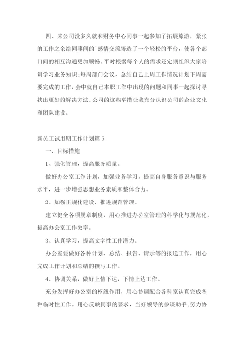 新员工试用期工作计划.docx
