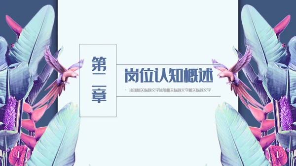羽毛艺术个人简历通用PPT模板