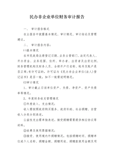 民办非企业单位财务审计报告.docx