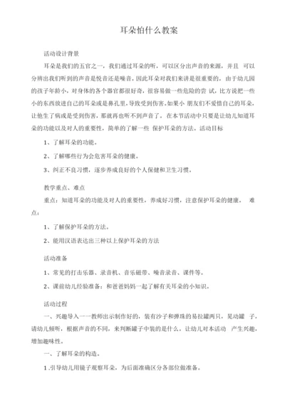 耳朵怕什么教案.docx