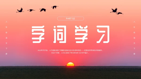 粉色简约八年级语文下册大雁归来PPT模板宣传PPT动态PP