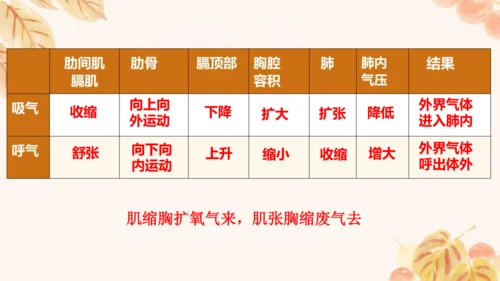 人教版（新课标）七下生物第四单元第一至三章复习课件(共34张PPT)