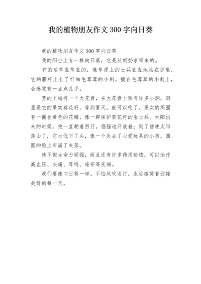 我的植物朋友作文300字向日葵.docx