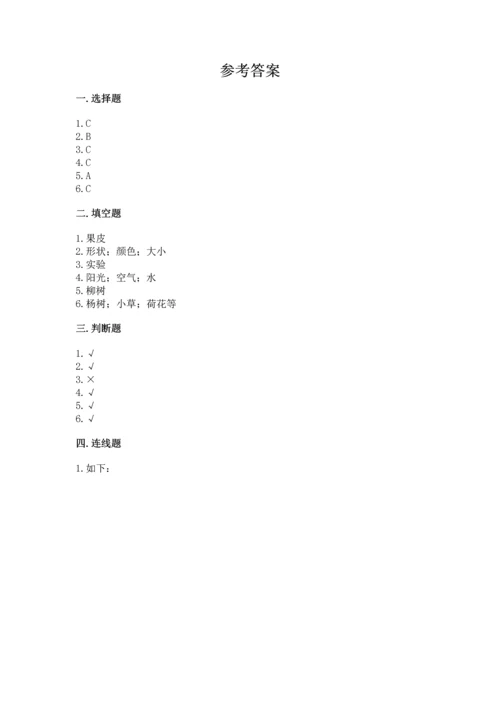 教科版科学一年级上册第一单元《植物》测试卷精品及答案.docx