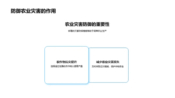 大雪节气气象解析