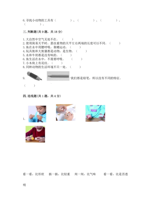 教科版一年级下册科学期末测试卷精品【必刷】.docx