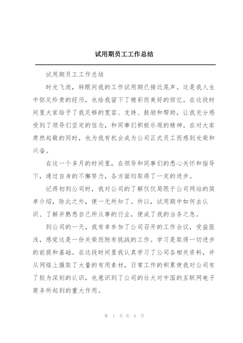 试用期员工工作总结.docx