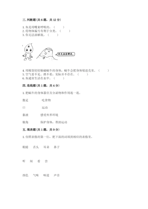 教科版小学科学一年级下册期末测试卷附答案【预热题】.docx