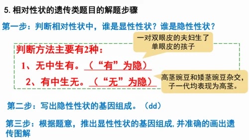 八下 第七单元复习课件(共58张PPT)