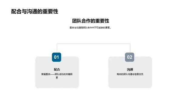 体育与团队合作