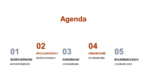 探索校园科研之旅
