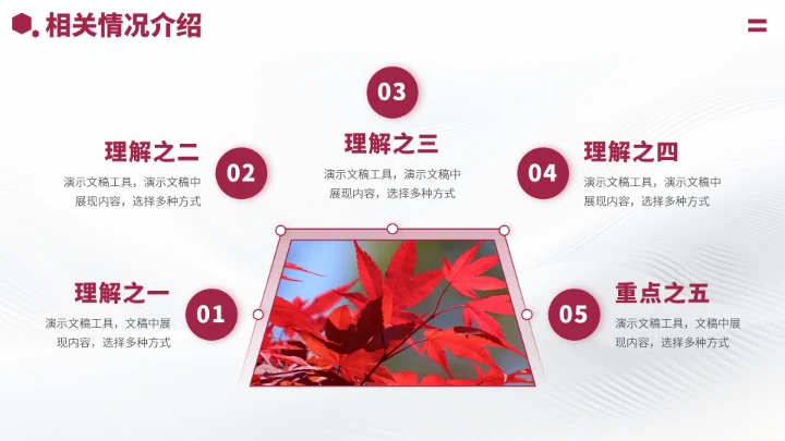 红色高端风大学生职业生涯规划PPT模板