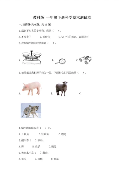 教科版 一年级下册科学期末测试卷精品含答案