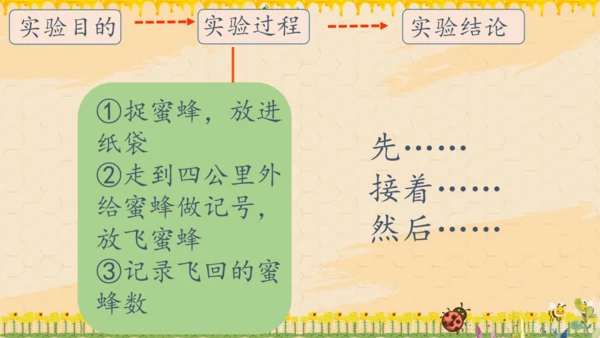 14《蜜蜂》课件