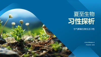 夏至生物习性探析