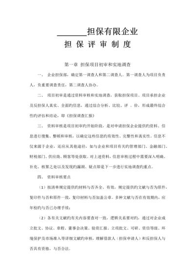 担保评审制度.docx