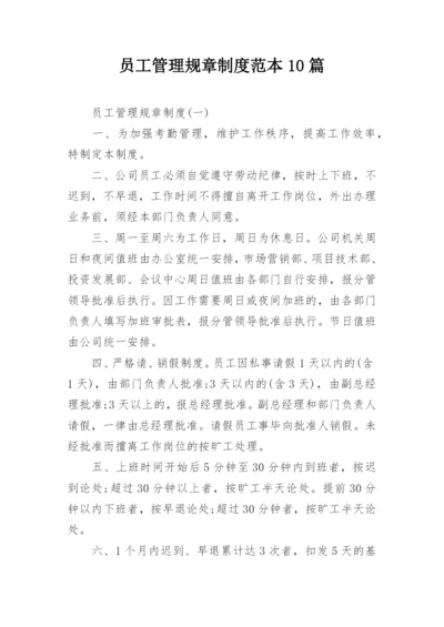 员工管理规章制度范本10篇.docx