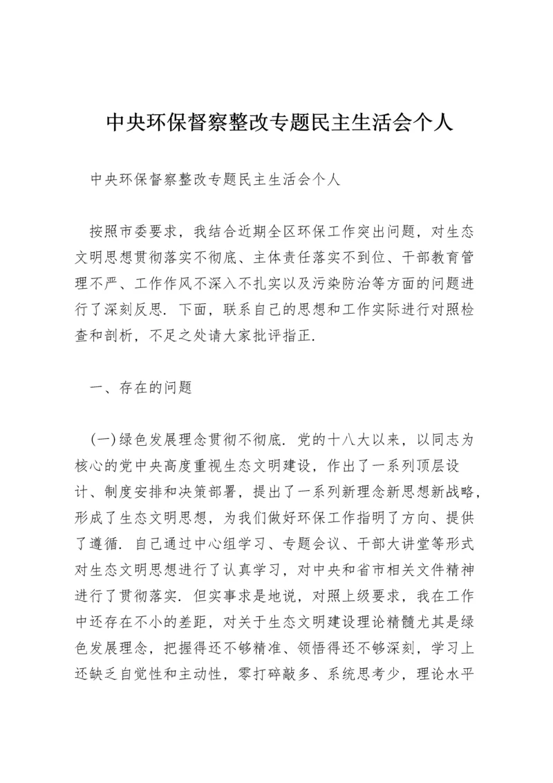 中央环保督察整改专题民主生活会个人.docx